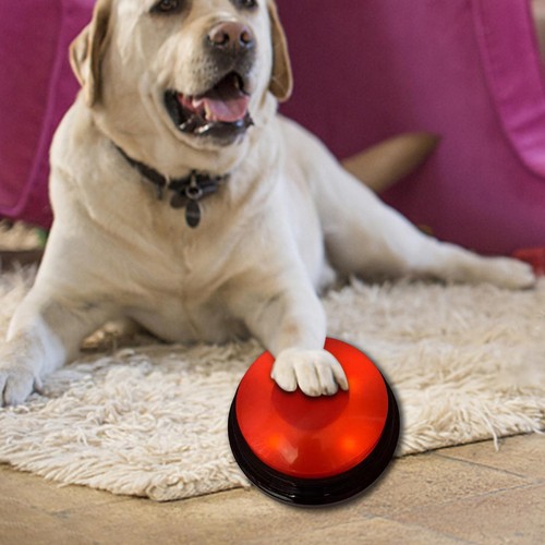 6pack recording sound button - recording,