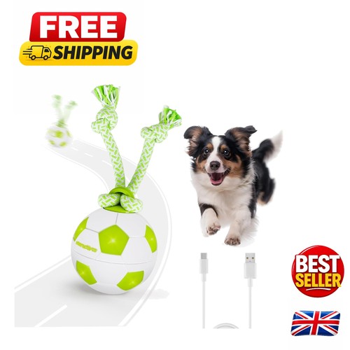 Interactive moving dog - interactive, ball