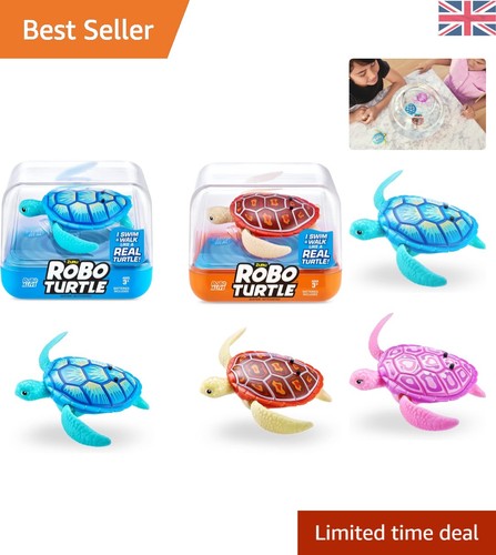 Interactive robo turtle - turtle, pool