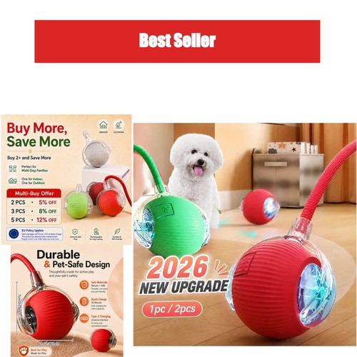 Right cat interactive - right, dog