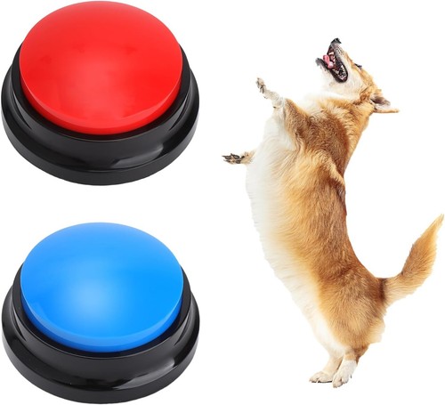 Intelligent dog training tools - dog,